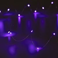Светодиодная гирлянда ARD-DEW-HOME-2000-CLEAR-20LED-STD Purple (3V, Battery Pack) (Ardecoled, IP20)