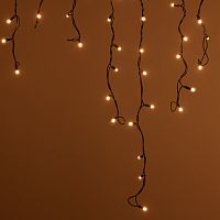 Светодиодная гирлянда ARD-EDGE-CLASSIC-2400x600-BLACK-88LED-MILK-STD Warm (230V, 6W) (Ardecoled, IP65, 1 год)
