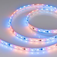 Лента герметичная SPI-P-B60-12mm 12V RGB-PX3 (14.4W/m, IP66, 5060, 5m) (Arlight, бегущий огонь)
